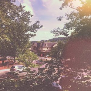 Meet your Posher, Grace